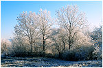 blanc-bleu, balade sur le mont, orgelet, jura