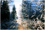 blanc-bleu, balade sur le mont, orgelet, jura