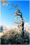 blanc-bleu, balade sur le mont, orgelet, jura