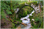 le petit pont de la pie du dard, cot face