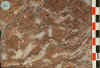 020.jpg (57484 octets)